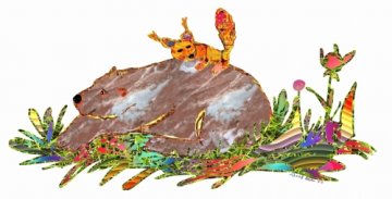 Eichhörnchen Marianne Eichhörnchen Marianne